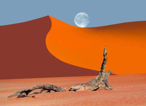 deadvlei